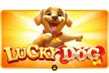 link togelon live casino table interface on mobile
